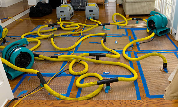 Professional Water Damage Restoration technician working in Cotati, CA